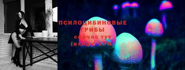 прущая мука Алзамай
