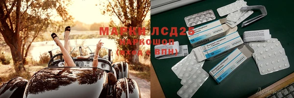 индика Протвино
