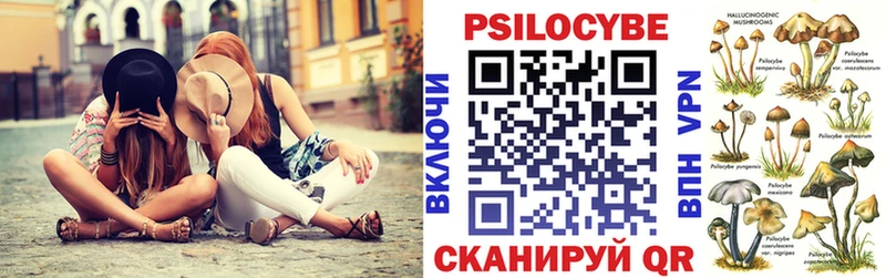 Псилоцибиновые грибы Psilocybe Алушта