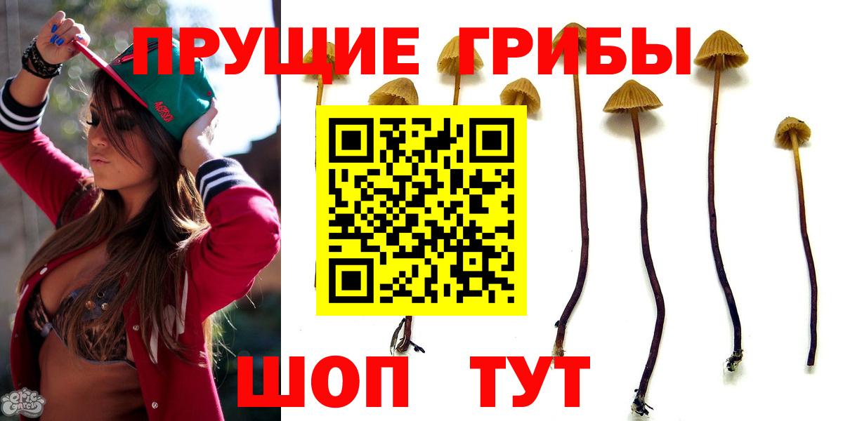 Псилоцибиновые грибы прущие грибы  Вход с VPN  Алушта 